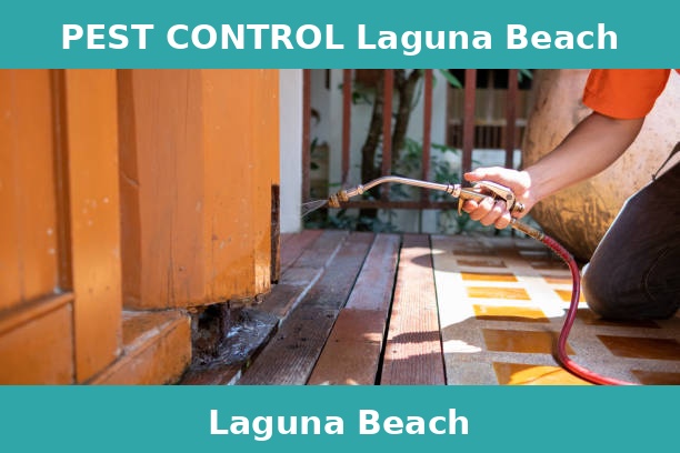 PEST CONTROL Laguna Beach